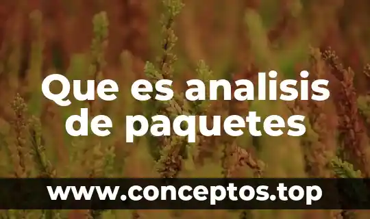 Que es analisis de paquetes