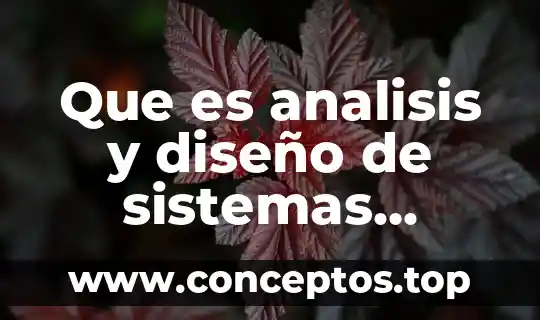 Que es analisis y diseño de sistemas conclusion