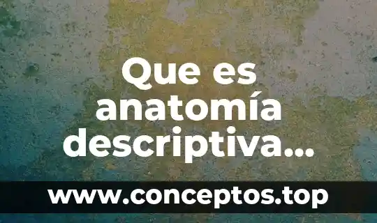 Que es anatomía descriptiva definicion