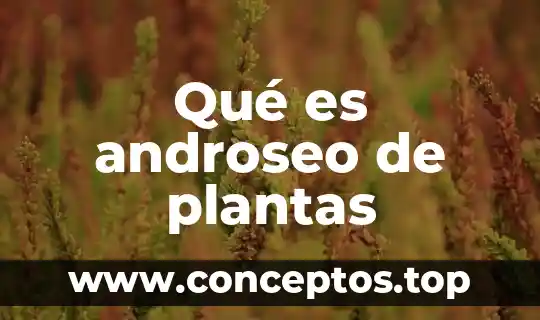 Qué es androseo de plantas
