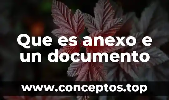 Que es anexo e un documento
