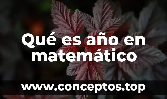 Qué es año en matemático