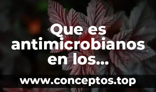 Que es antimicrobianos en los alimentos