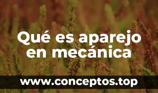 Qué es aparejo en mecánica