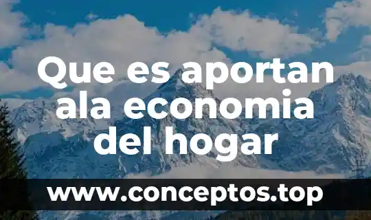Que es aportan ala economia del hogar