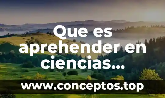 Que es aprehender en ciencias sociales