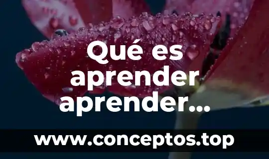Qué es aprender aprender concepto