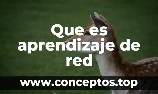 Estimación del tamaño del mensaje red que es 8 Que es aprendizaje de red