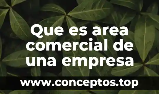 Que es la figura fiscal de una empresa 3 Que es area comercial de una empresa