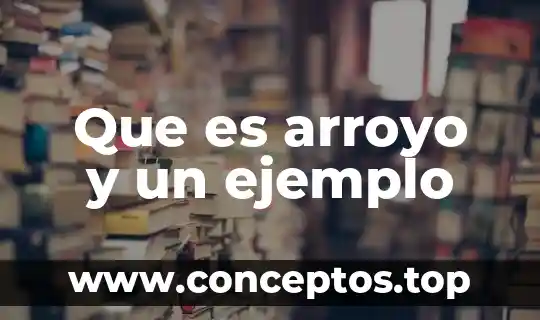 Que es arroyo y un ejemplo