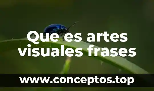 Que es artes visuales frases