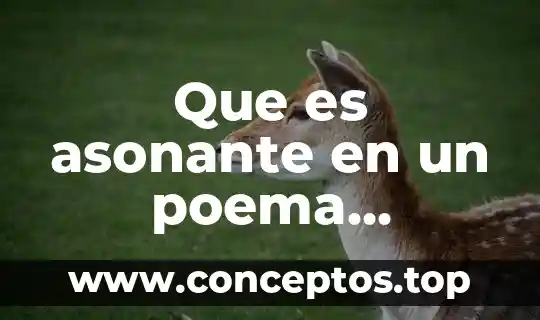 Qué es factorización tipos y ejemplos 6 Que es asonante en un poema ejemplos