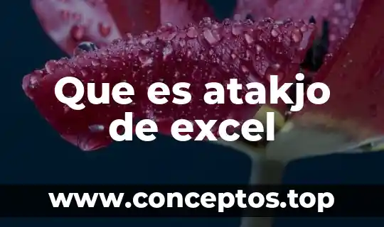 Que es un nombre de celda en excel 3 Que es atakjo de excel