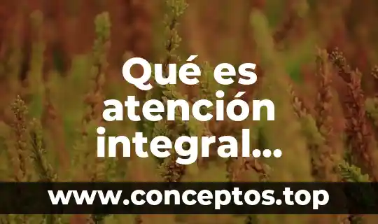 Qué es atención integral significado