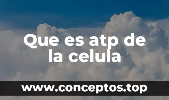 Que es atp de la celula