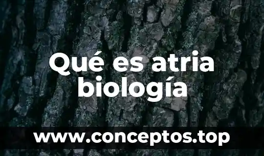 Qué es atria biología