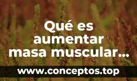 Qué es aumentar masa muscular magra