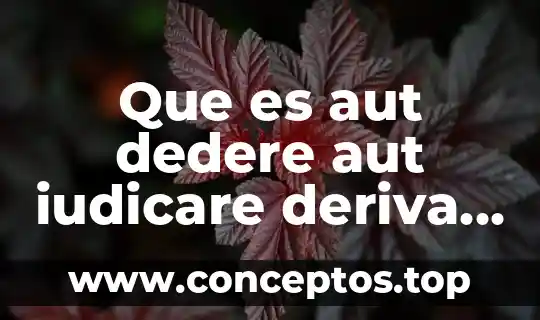Que es aut dedere aut iudicare deriva de una aeronave civil