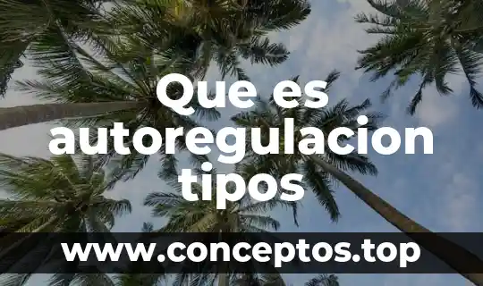 Que es autoregulacion tipos