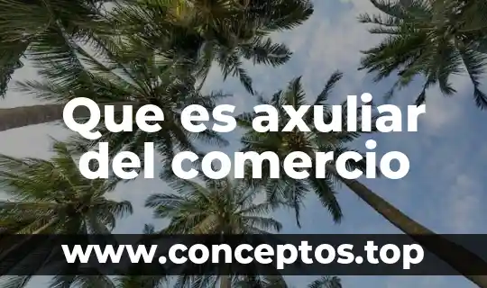 Que es axuliar del comercio
