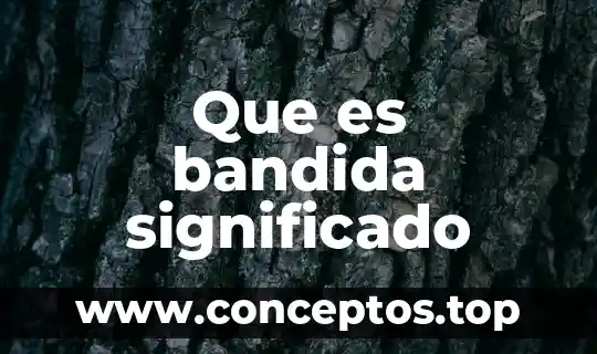 Que es suburbios significado 4 Que es bandida significado