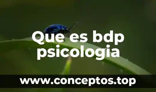 Que es bdp psicologia