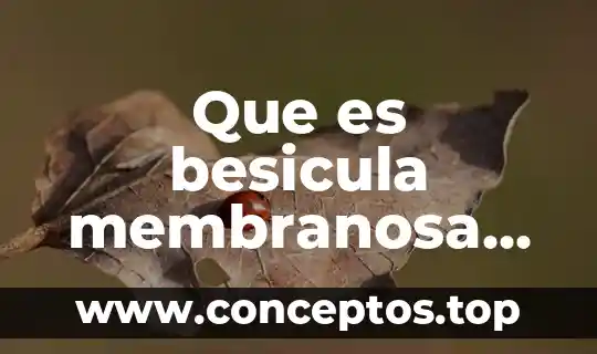 Célula novel truncado que es 6 Que es besicula membranosa de celula animal
