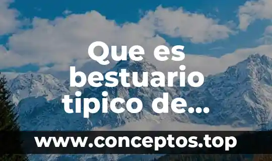 Que es un registro de nombre comercial en mexico 3 Que es bestuario tipico de mexico