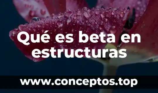 Que es un grado de libertad en estructuras 3 Qué es beta en estructuras