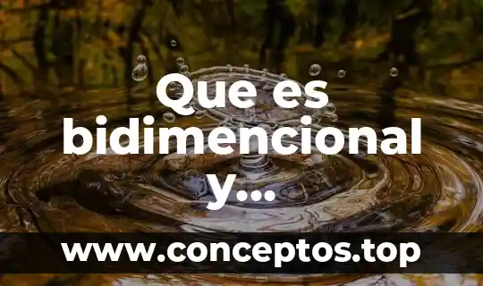 Que es el significado para saussure 8 Que es bidimencional y tridimencional significado y carateristicas