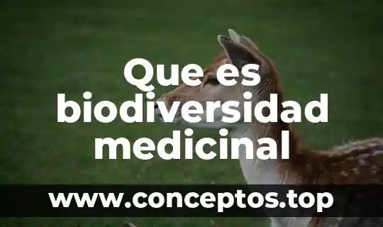 Que es la chaya planta medicinal 4 Que es biodiversidad medicinal