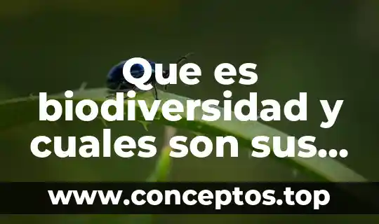 Que es biodiversidad y cuales son sus caracteristicas