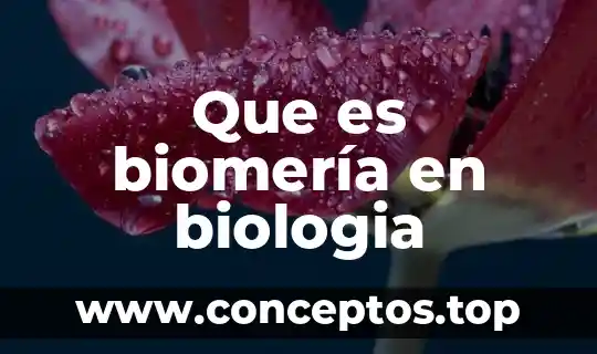 Que es compuesto en biologia 7 Que es biomería en biologia