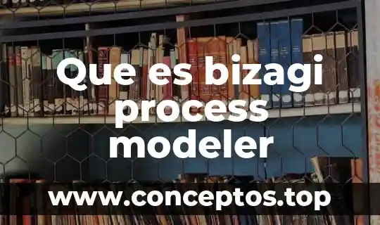 Que es web-dl latino 3 Que es bizagi process modeler