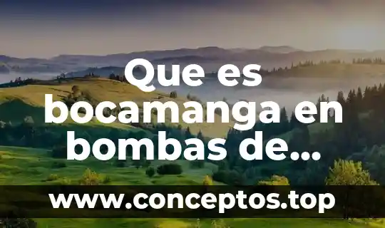 En informática que es bombas 3 Que es bocamanga en bombas de agua