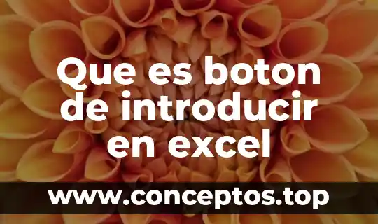 Qué es un botón en Flash y sus tipos 3 Que es boton de introducir en excel