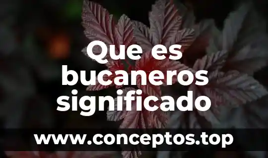 Que es el significado del nombre de carmen 6 Que es bucaneros significado