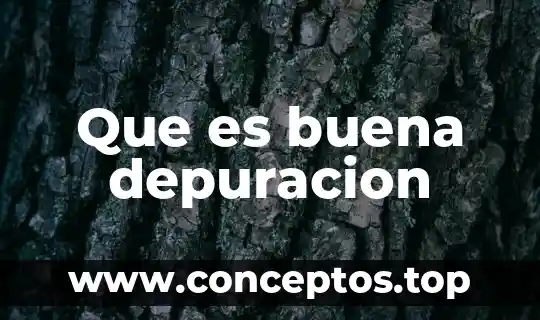 Que es buena depuracion