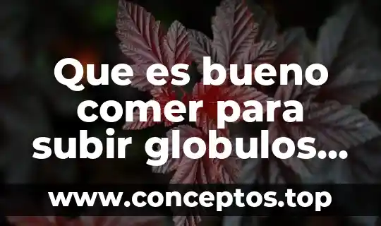 Que es bueno comer para subir globulos rojos