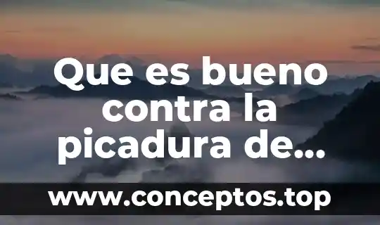 Que es bueno contra la picadura de avispa