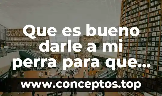 Significado explicito de a darle que es mole de olla 5 Que es bueno darle a mi perra para que aborte