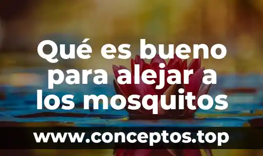 Qué es bueno para alejar a los mosquitos