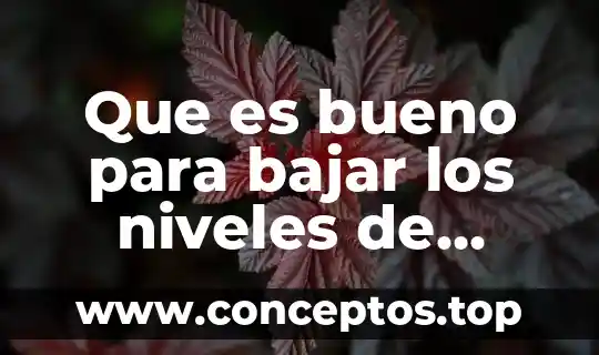 Que es bueno para bajar los niveles de azúcar semillas