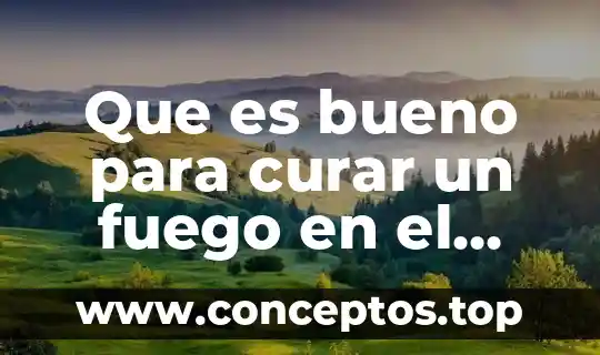 Que es bueno para curar un fuego en el labio