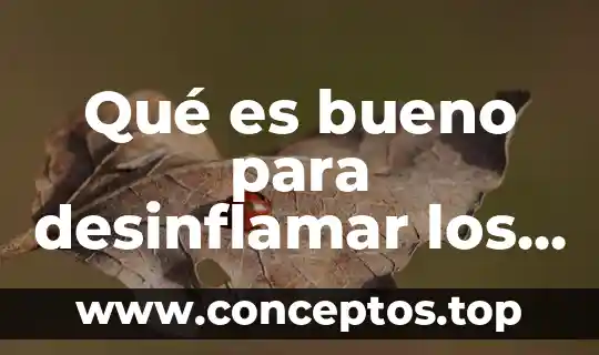 Qué es bueno para desinflamar los nervios ciáticos