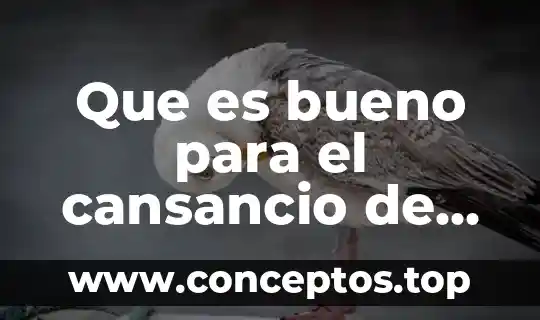 Que es bueno para el cansancio de los ojos