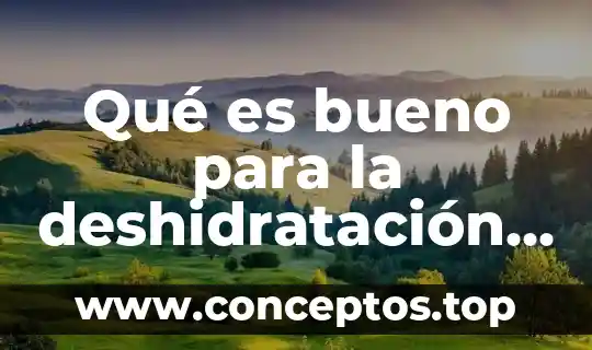 Qué es bueno para la deshidratación en niños
