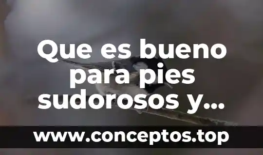 Que es bueno para pies sudorosos y olorosos
