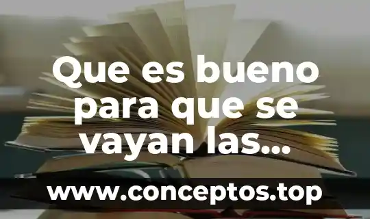 Que es bueno para que se vayan las moscas
