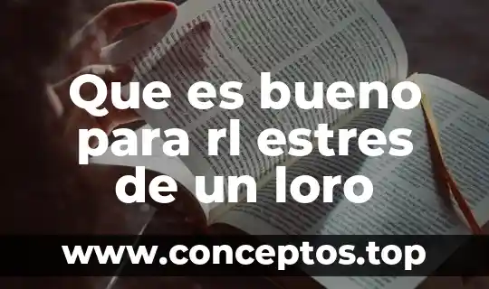 Que es bueno para rl estres de un loro